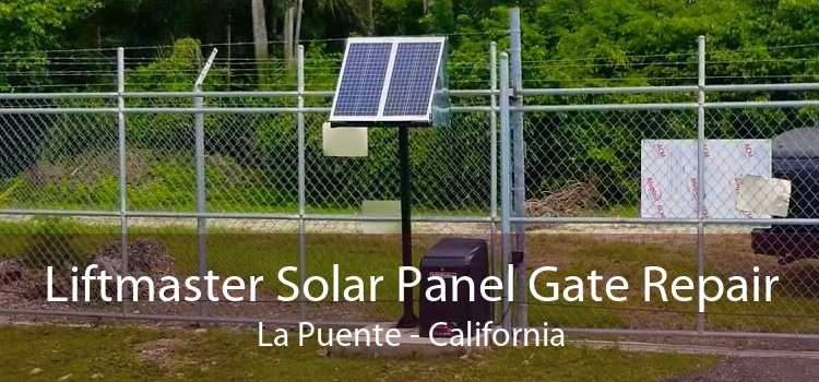 Liftmaster Solar Panel Gate Repair La Puente - California