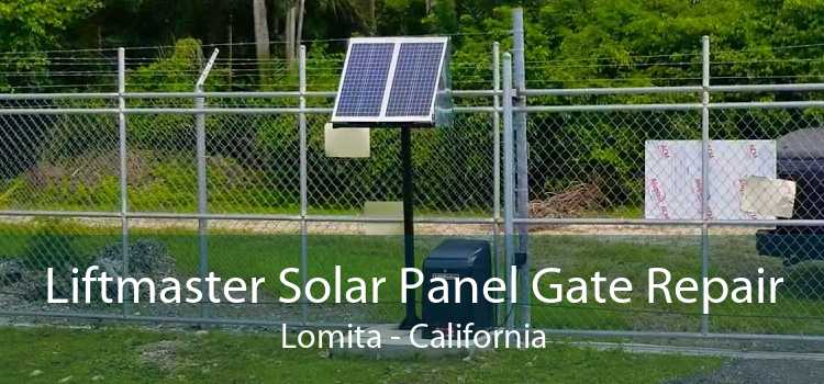 Liftmaster Solar Panel Gate Repair Lomita - California