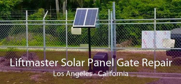 Liftmaster Solar Panel Gate Repair Los Angeles - California