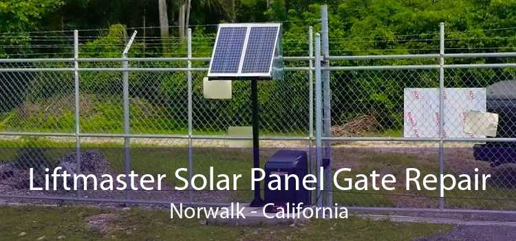 Liftmaster Solar Panel Gate Repair Norwalk - California