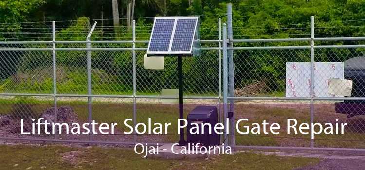 Liftmaster Solar Panel Gate Repair Ojai - California