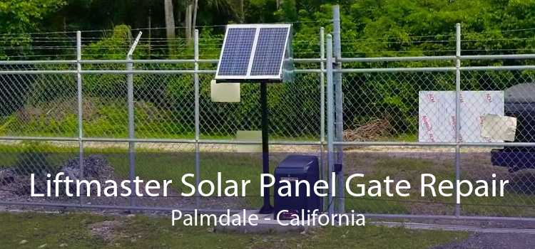 Liftmaster Solar Panel Gate Repair Palmdale - California