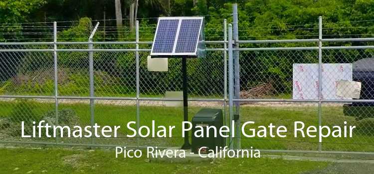 Liftmaster Solar Panel Gate Repair Pico Rivera - California