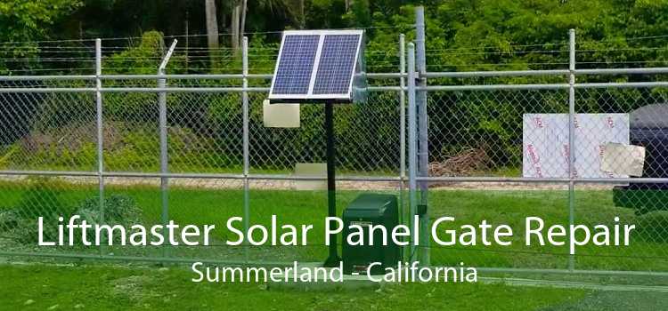 Liftmaster Solar Panel Gate Repair Summerland - California