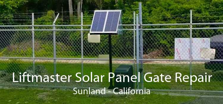 Liftmaster Solar Panel Gate Repair Sunland - California