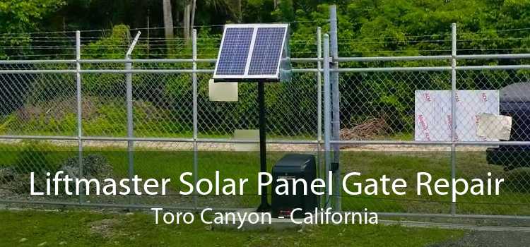 Liftmaster Solar Panel Gate Repair Toro Canyon - California